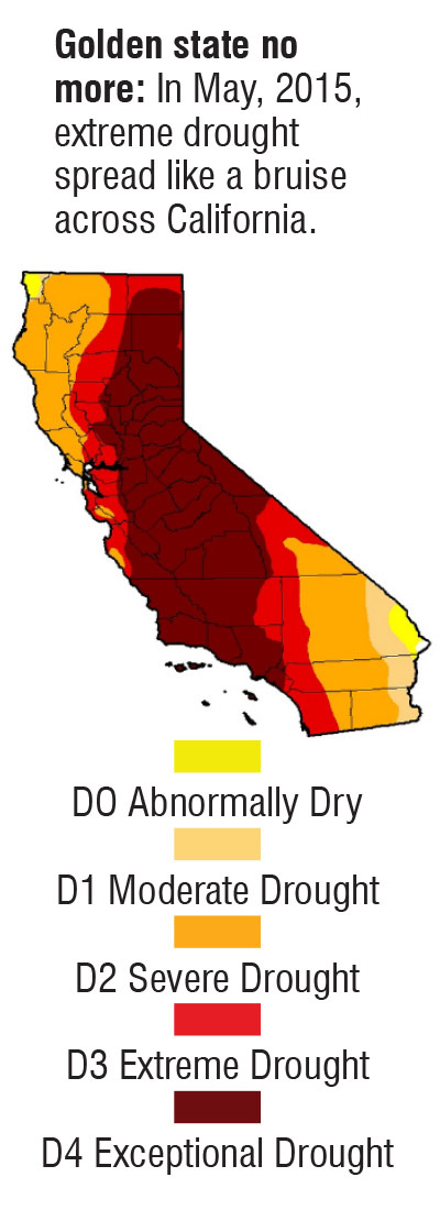 California Drought Graphic