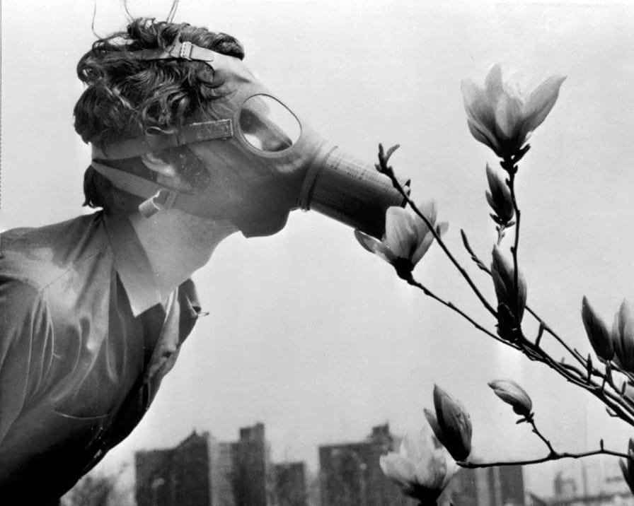 Snapshot-Don’t-Stop-and-Smell-the-Flowers