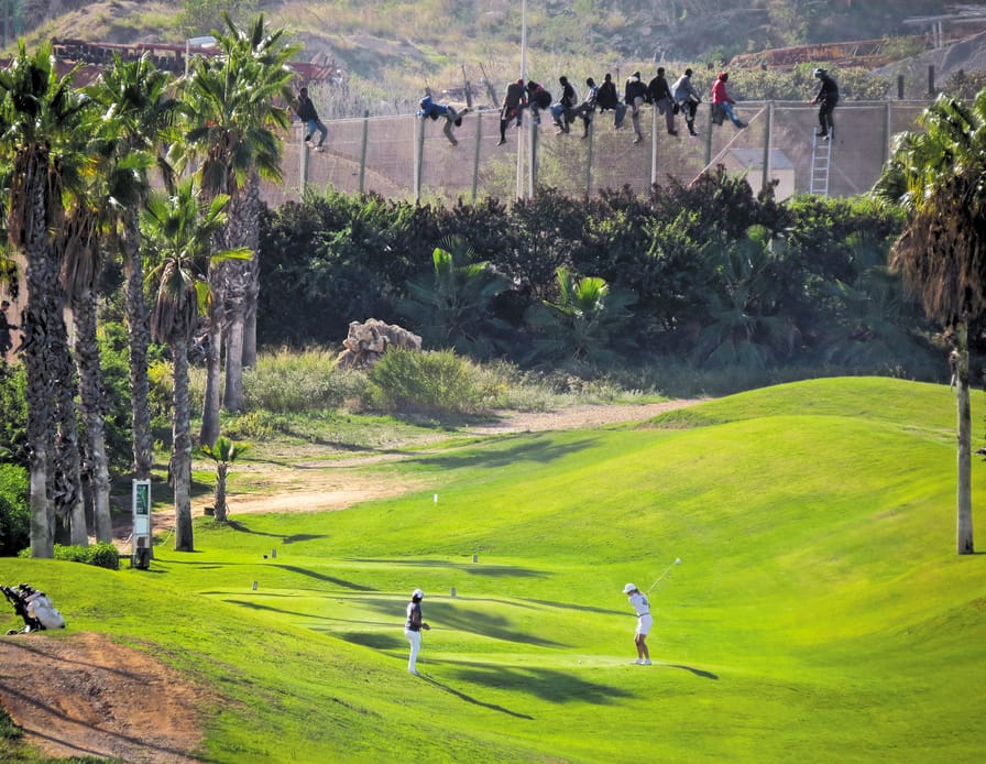 Snapshot-The-Grass-Is-Always-Greener