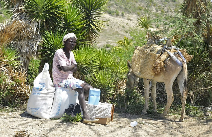 Haitian-drought