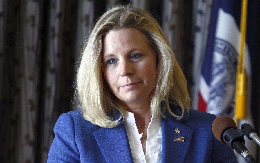 pLiz-Cheney-speaks-during-a-campaign-appearance-in-Casper-Wyoming-on-July-17-2013.-AP-PhotoMatt-Young-Filep