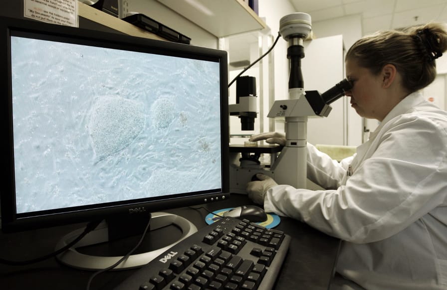 Why-Women-Rightly-Fear-Failure