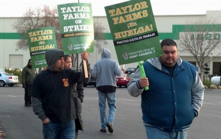 Taylor-Farms-workers-protest-unfair-labor-practices