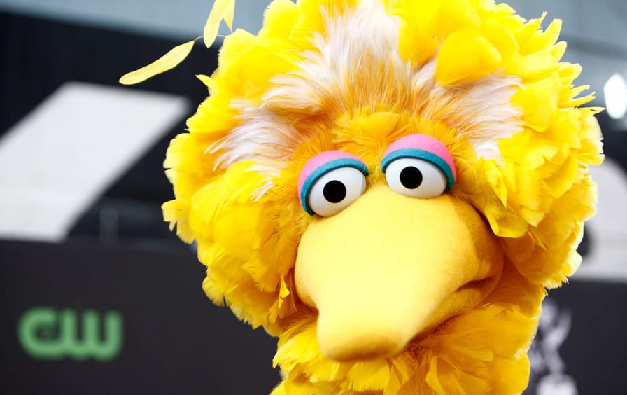 Big_Bird_ap_img