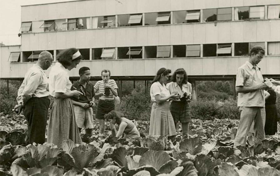 A photography class in a cabbage patch at Black Mountain College.