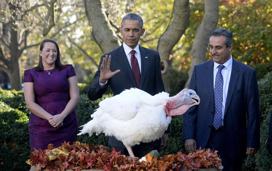 Barack Obama Thanksgiving Turkey