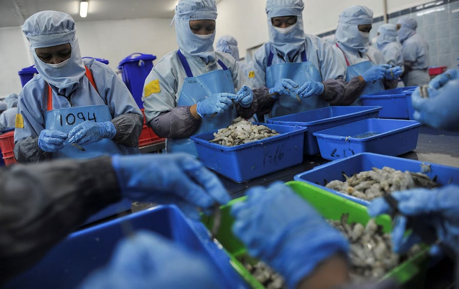 Workers sort shrimp for processing at the PT Kelola Mina Laut seafood processing facility in Gresik, East Java