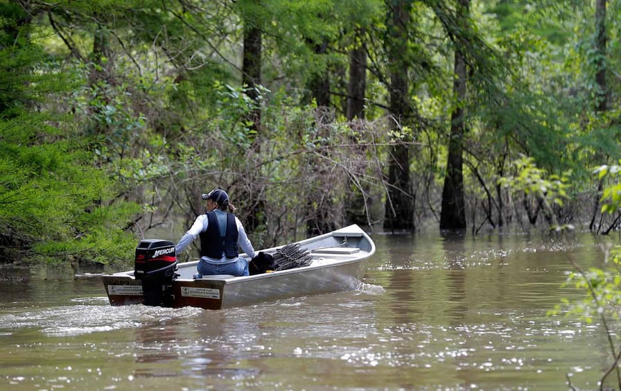Bayou Bridge Pipeline
