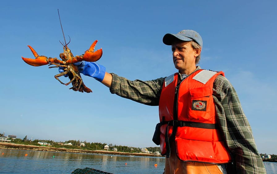 Lobsterman Maine