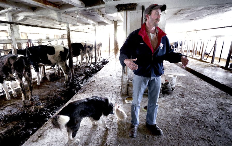 Wisconsin Dairy Farm