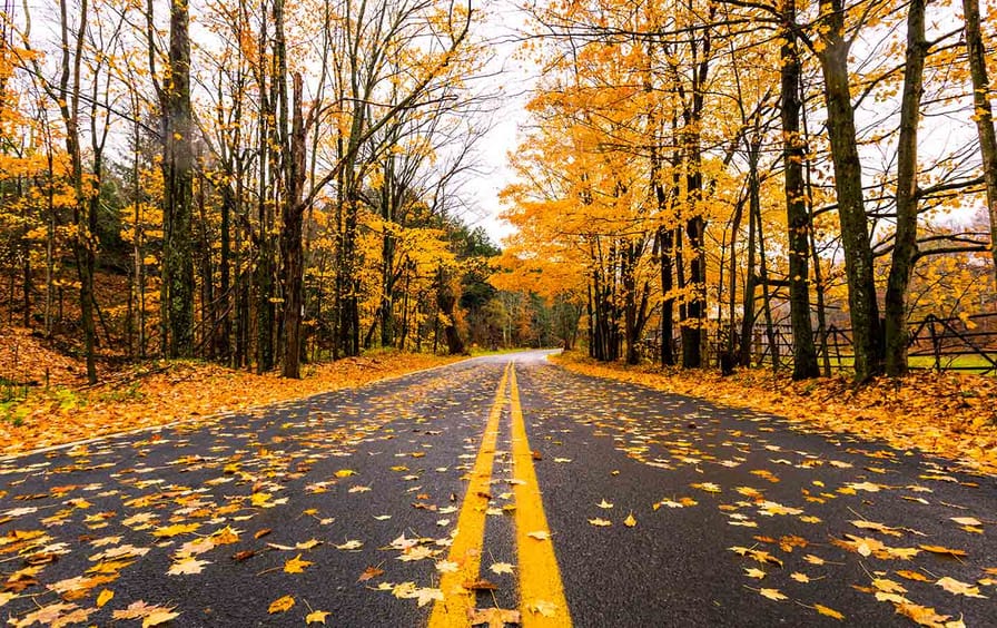 Fall_catskills_road