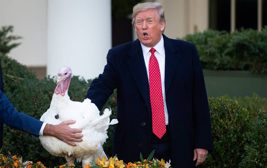 trump-turkey-pardon-thanksgiving-ap-img