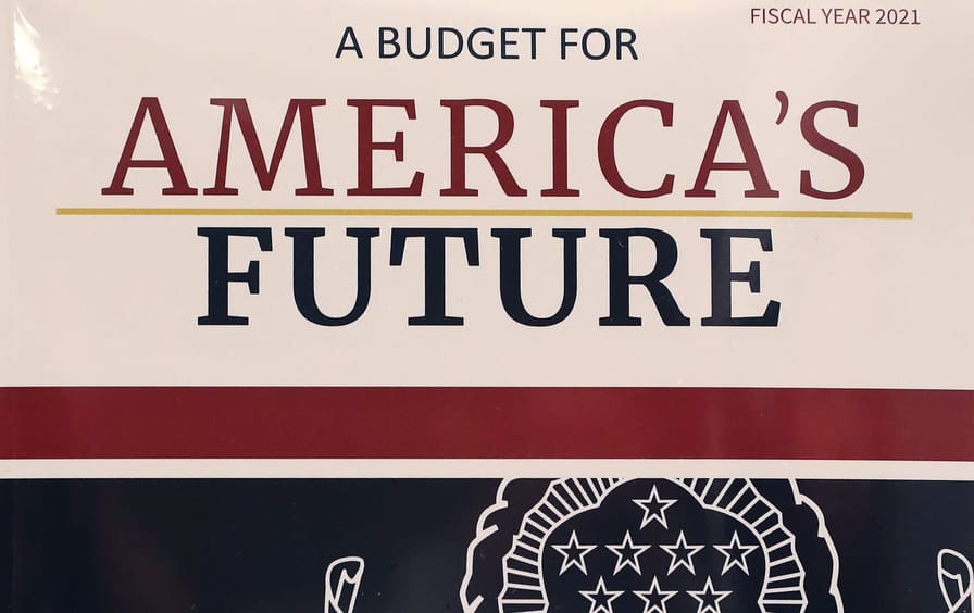 A copy of Trump's FY2021 budget.