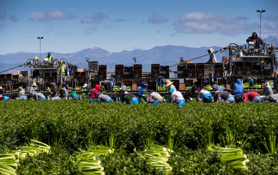 agriculture-workers-farm-california-gty-img