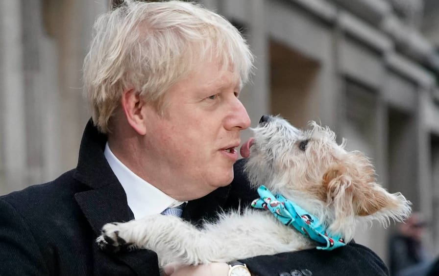 Boris Johnson Kissing Dog