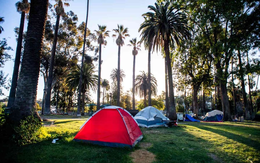 Tents sit on a grassy field under palm trees