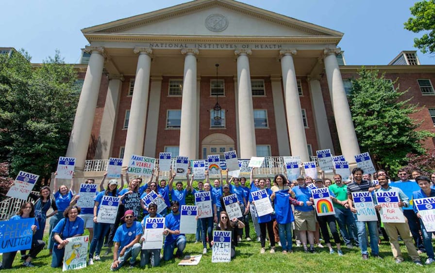 NIH Fellows United rally on the NIH main campus celebrating their union election filing with the FLRA on June 1.