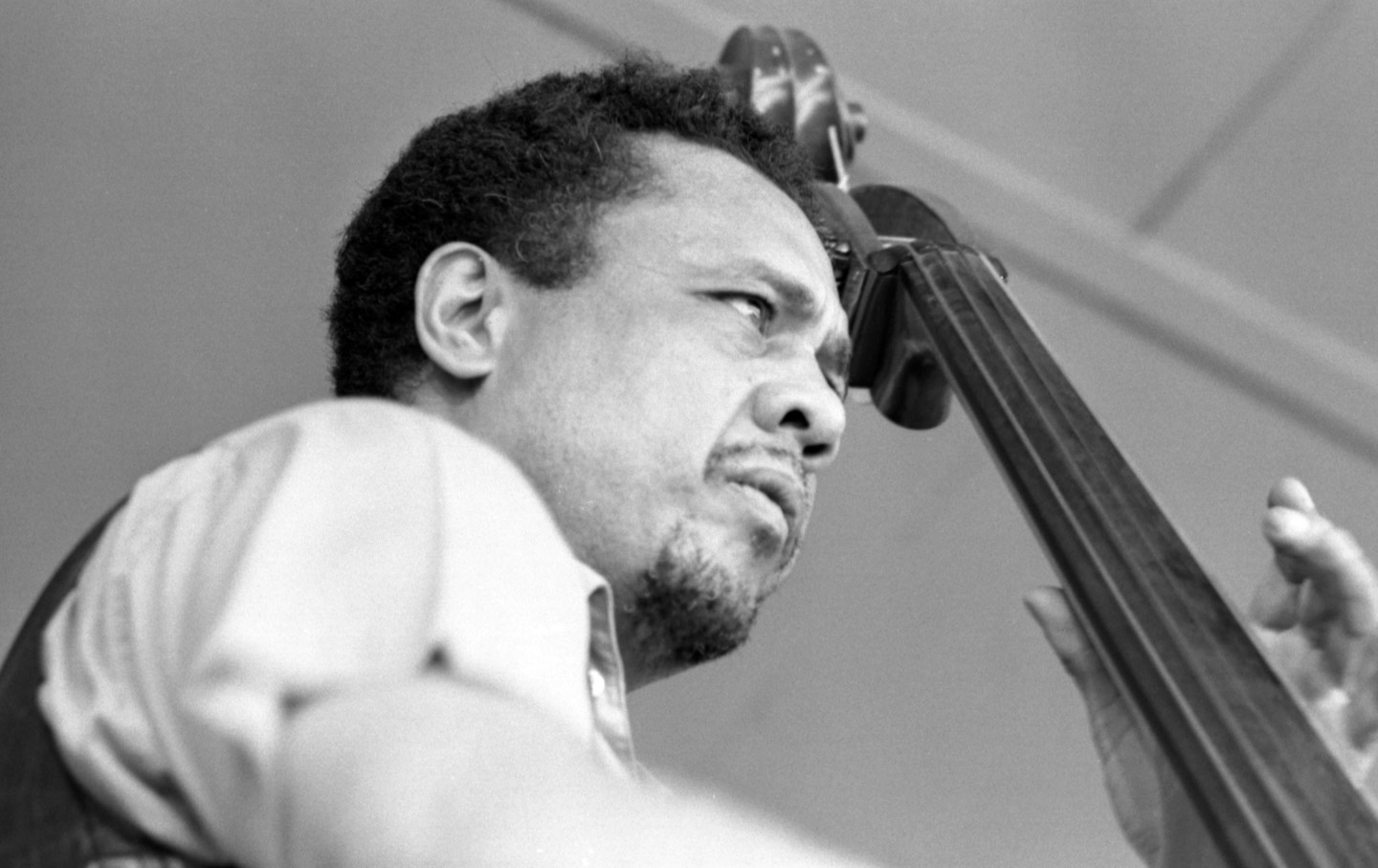 An Argument With Instruments On Charles Mingus The Nation photo image