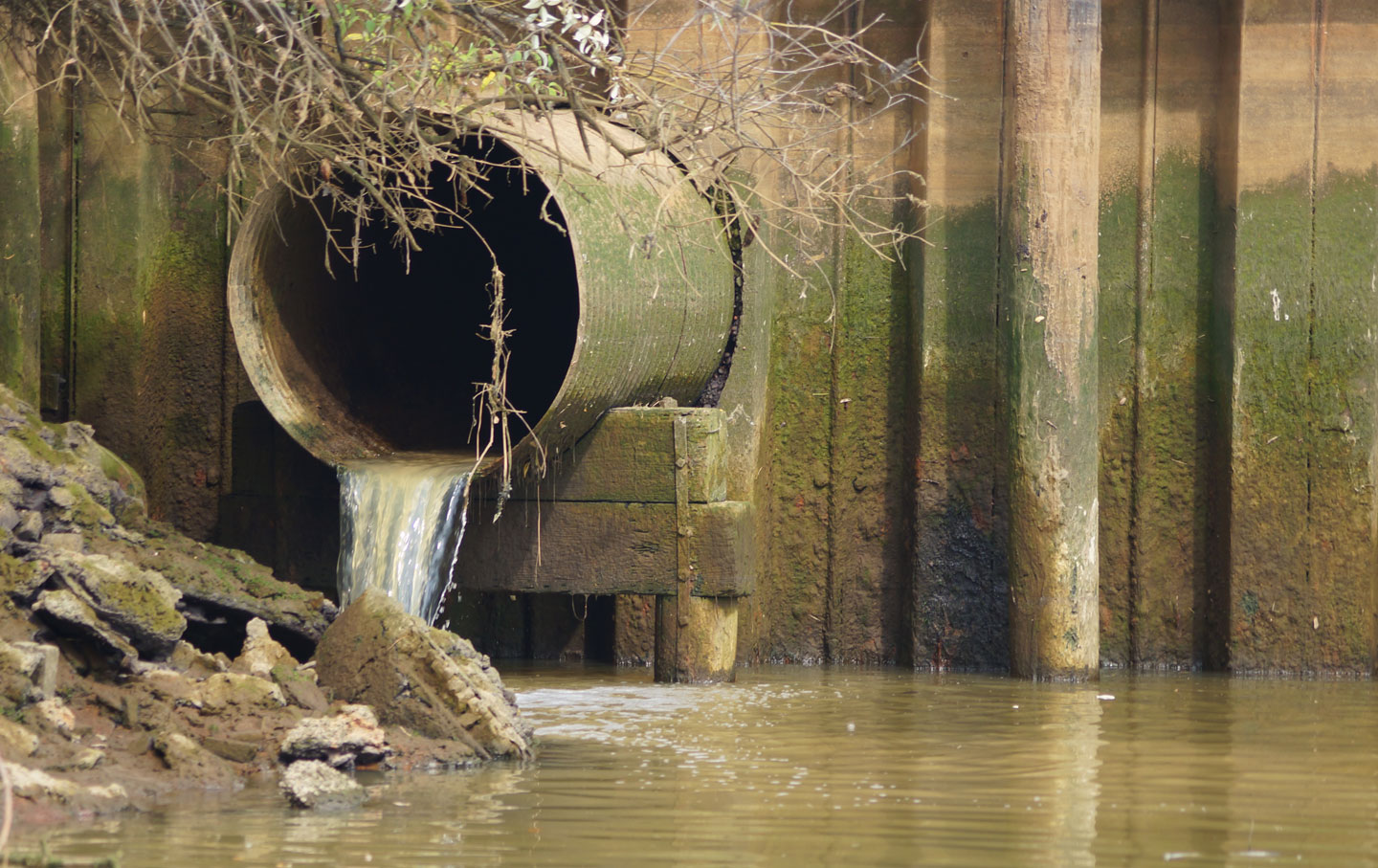 10 Ways to Help Keep Fish Healthy and Water Clean