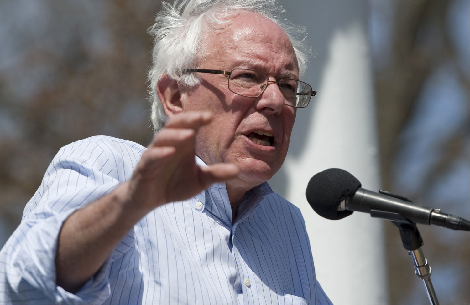 Bernie Sanders Could Be the 2016 Democratic Candidate We’ve All Been Waiting For
