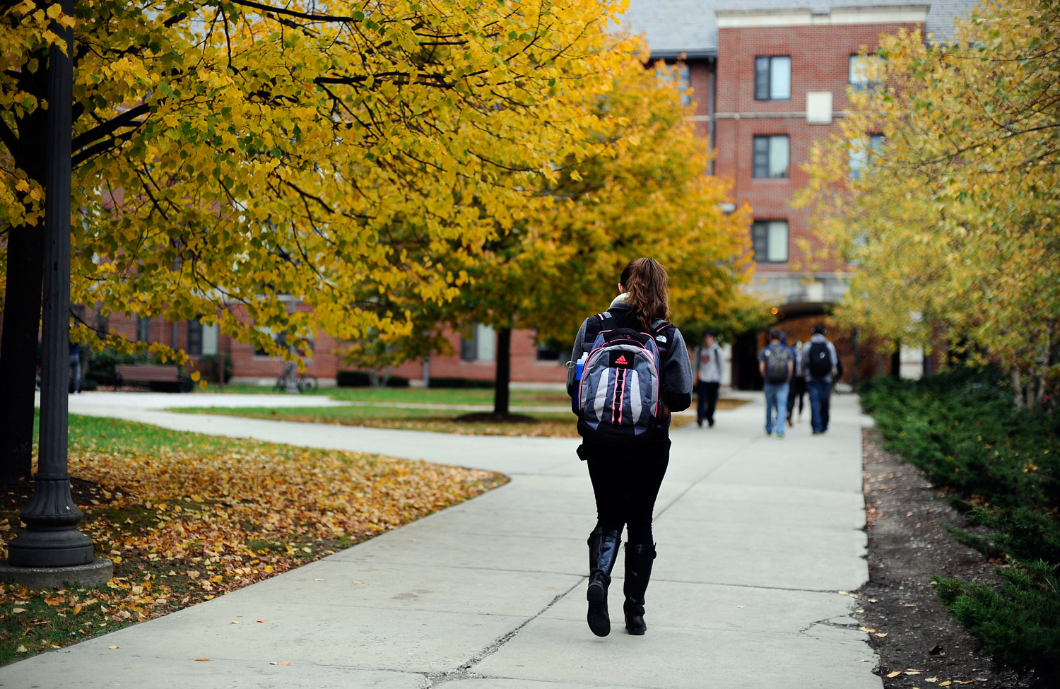 Why the Campus Rape Crisis Confounds Colleges