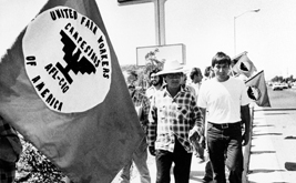 Looking Back at the UFW, a Union With Two Souls