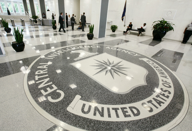 The CIA’s Student-Activism Phase