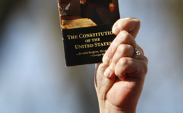 Stealing the Constitution