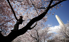 Marching with One Nation, Working Together? Send Us Your Pictures!