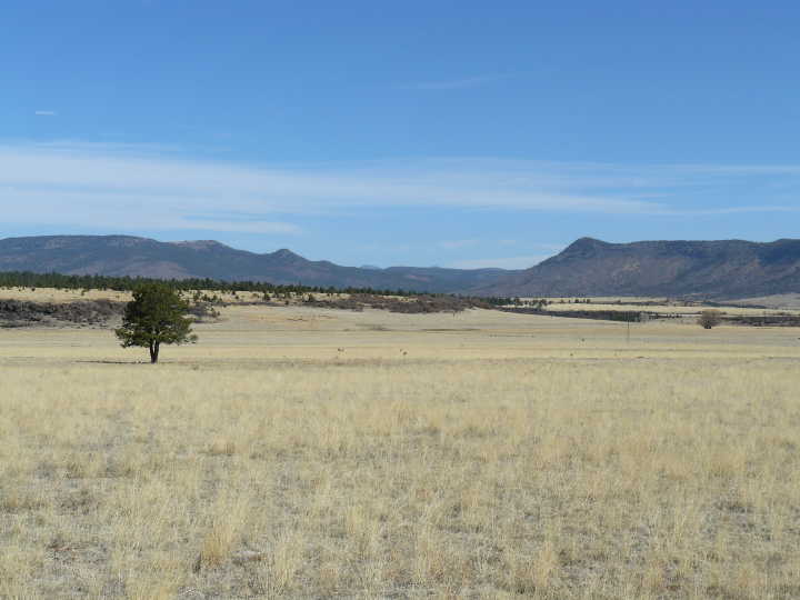 Why Are Fracking Hopefuls Suing a County in New Mexico?