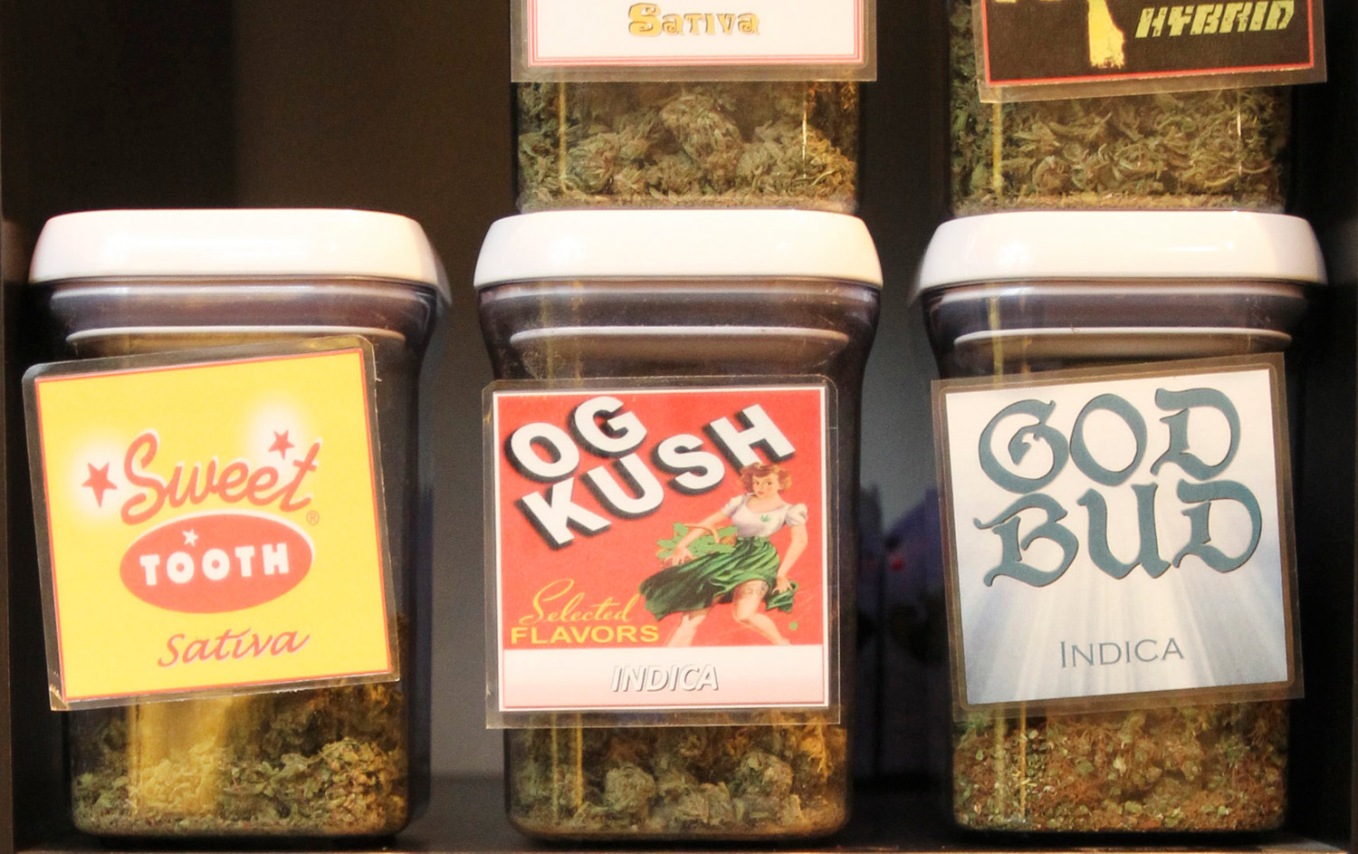 Can Medical Marijuana Survive in Washington State?