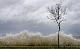 We Are All From New Orleans Now: Climate Change, Hurricanes and the Fate of America’s Coastal Cities