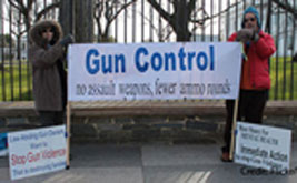 Demand Meaningful Gun Control