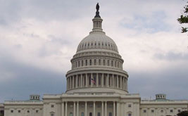 Democracy Is for People