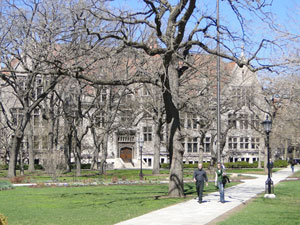 Libertarian Mugged by Reality