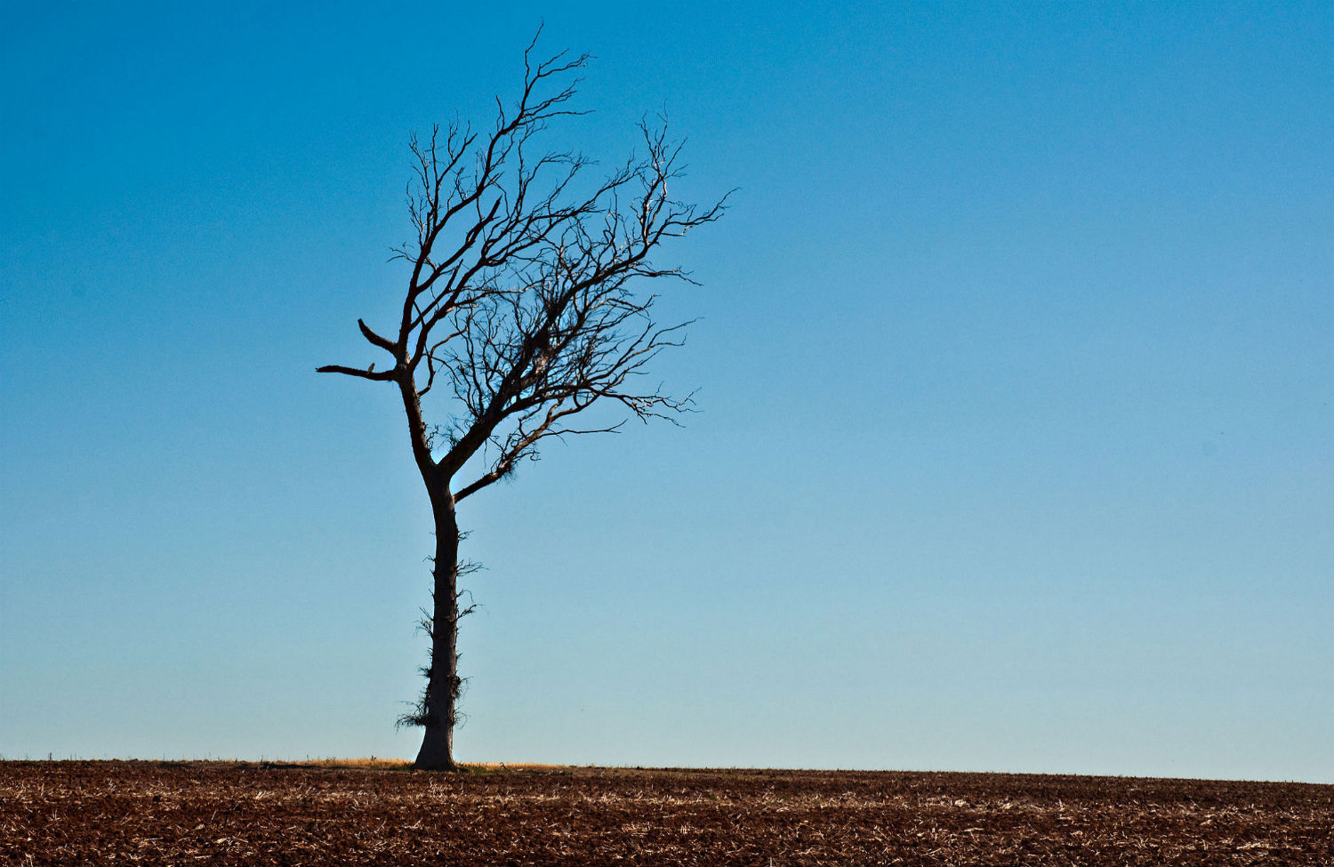 Three Poems to Get You Through the Drought