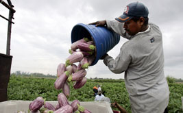 Human Trafficking: Not Someone Else’s Problem