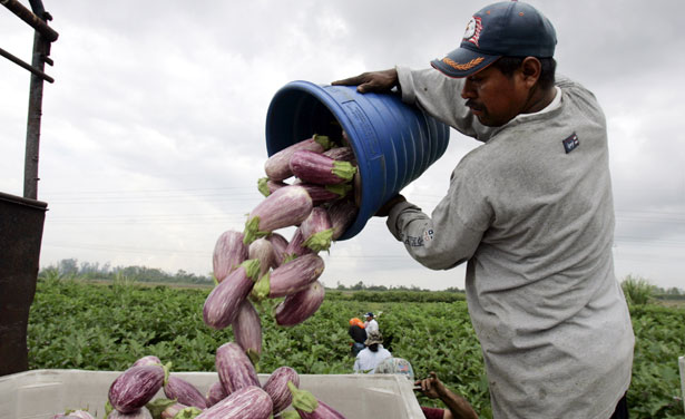 Can the Foodie Trend Also Help Food Workers?