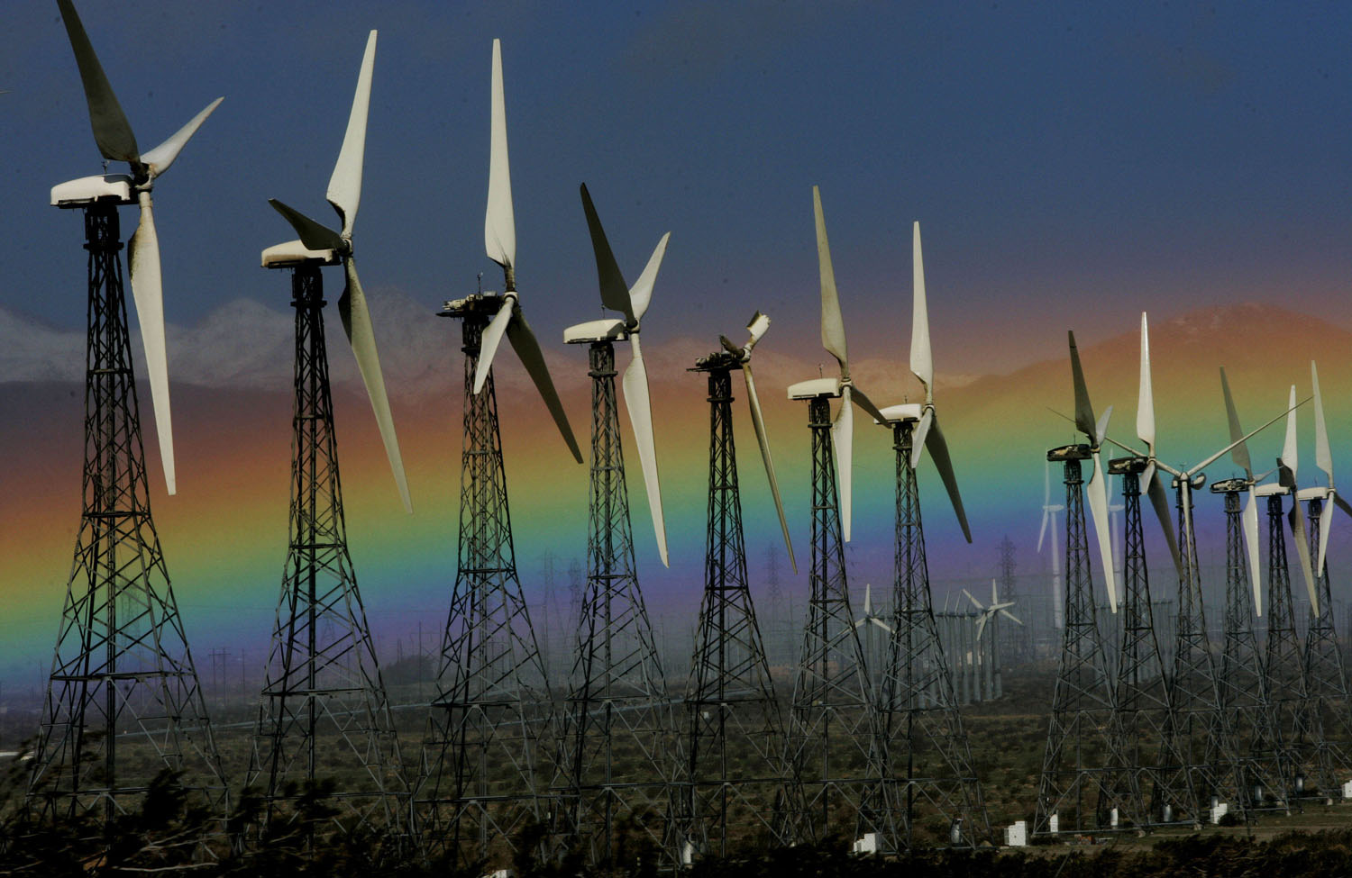 What Are ‘Nation’ Interns Reading the Week of 1/24/2014?