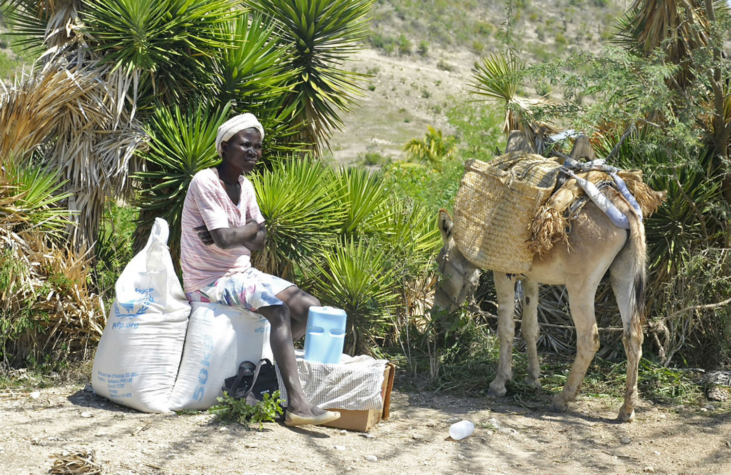 Climate Change Comes to the Caribbean