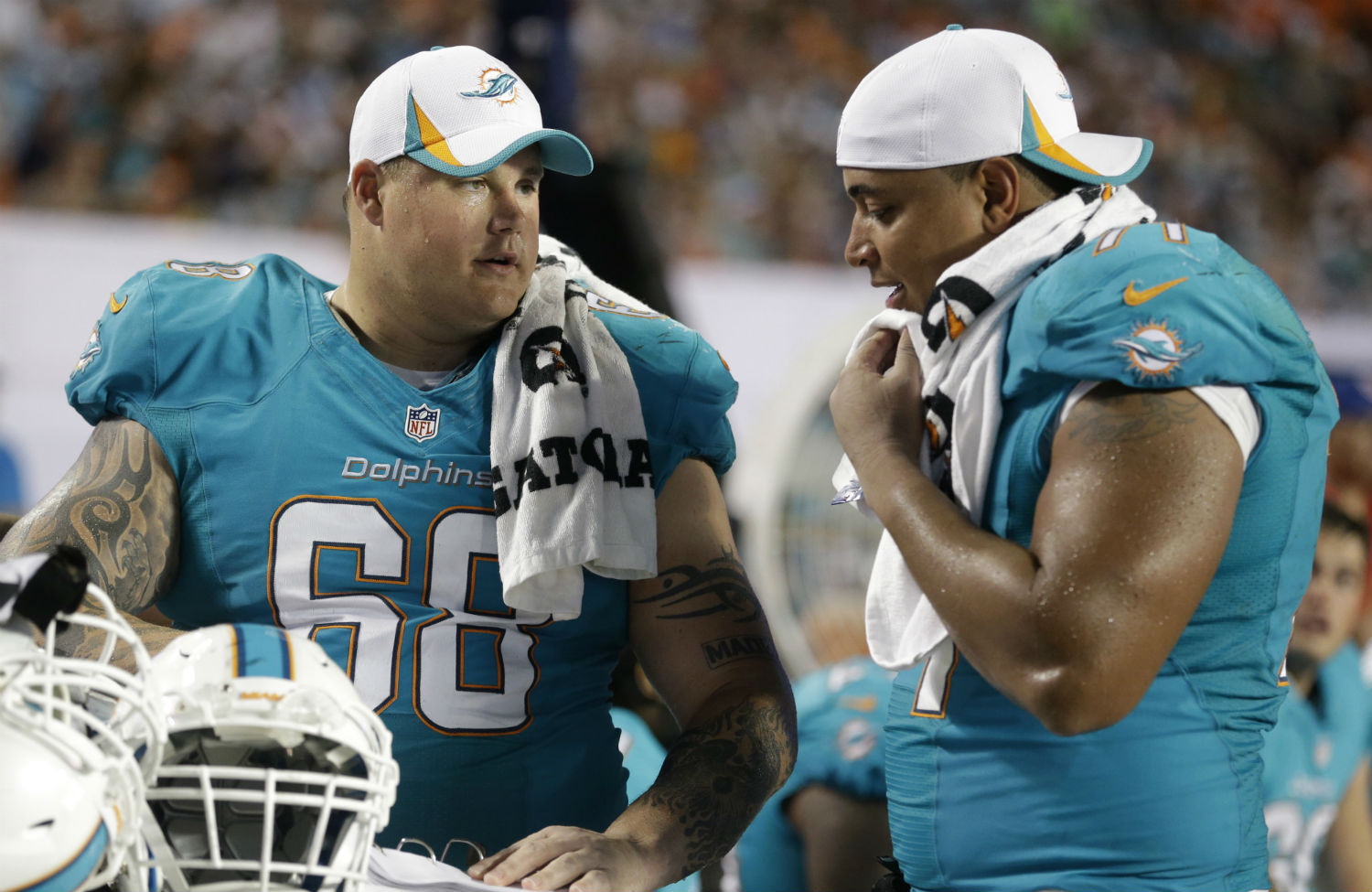 The Miami Dolphins Showcase Bully Solidarity