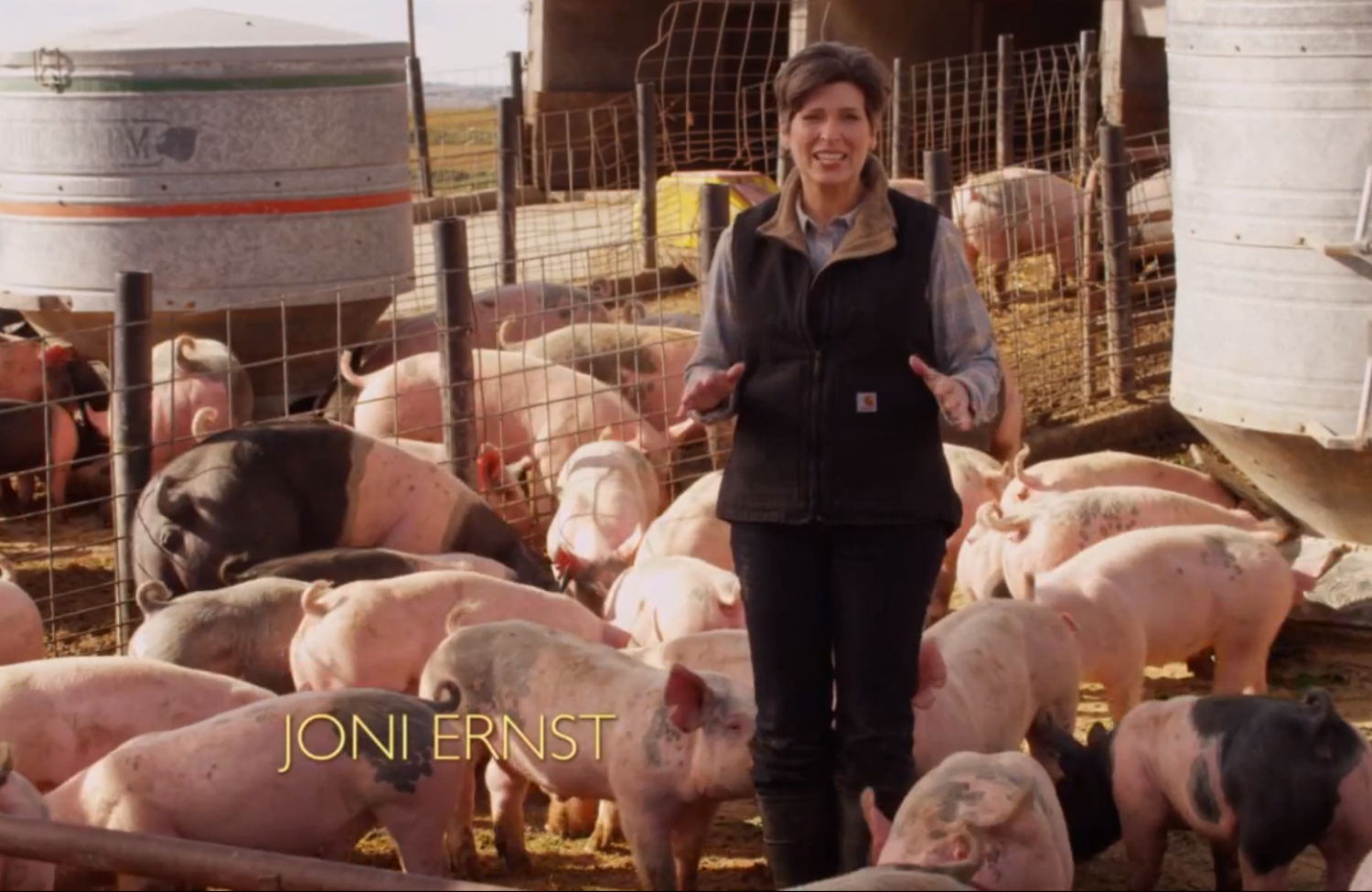 The Real Poop on Pig-Castrating GOP Senate Candidate Joni Ernst