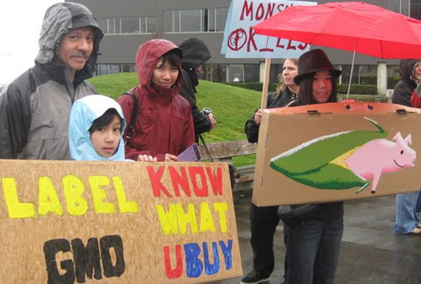 Twenty-Six Countries Ban GMOs—Why Won’t the US?