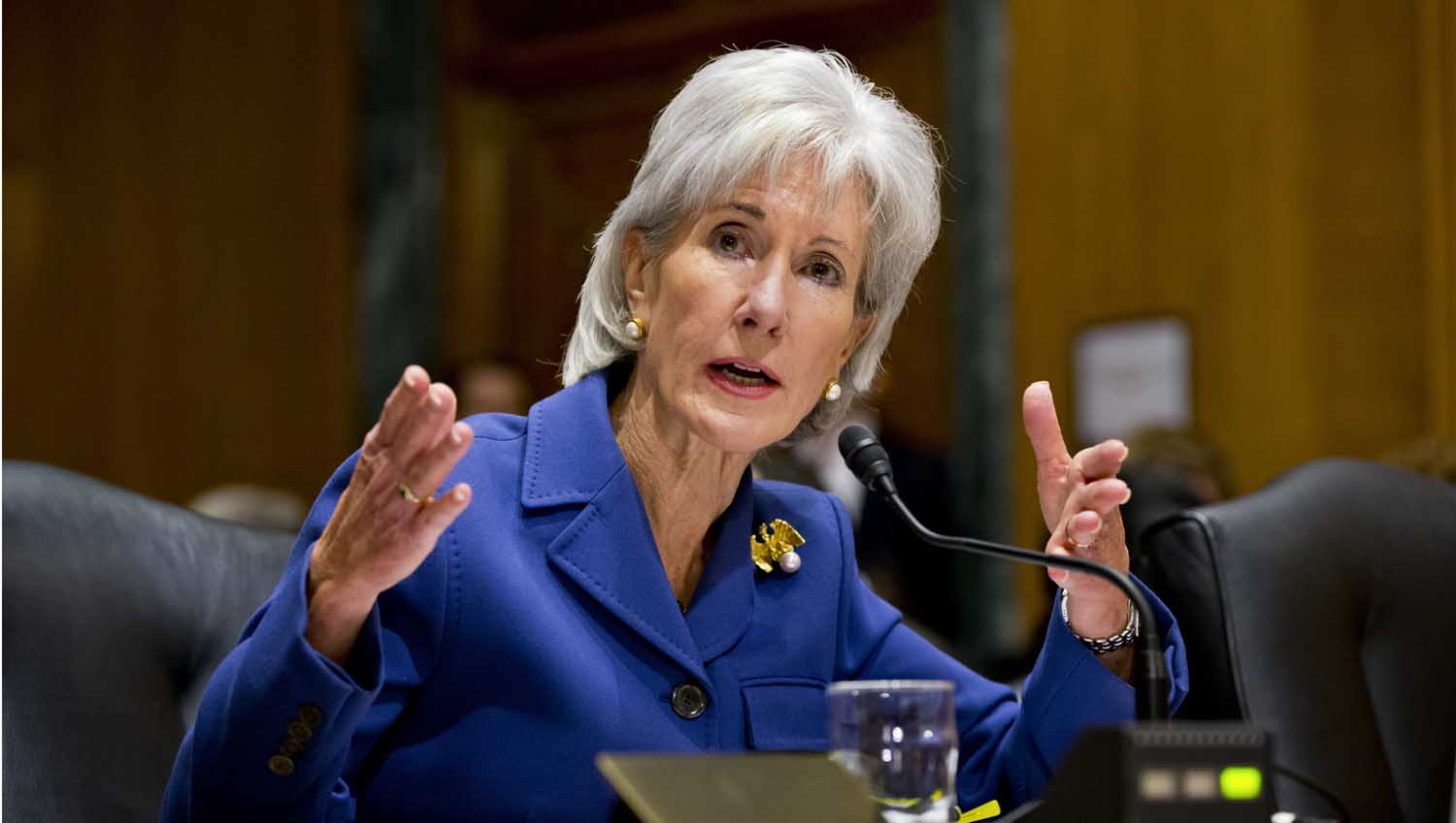 With 8 Million and Counting ACA Sign-Ups, Sebelius Could Run for Senate