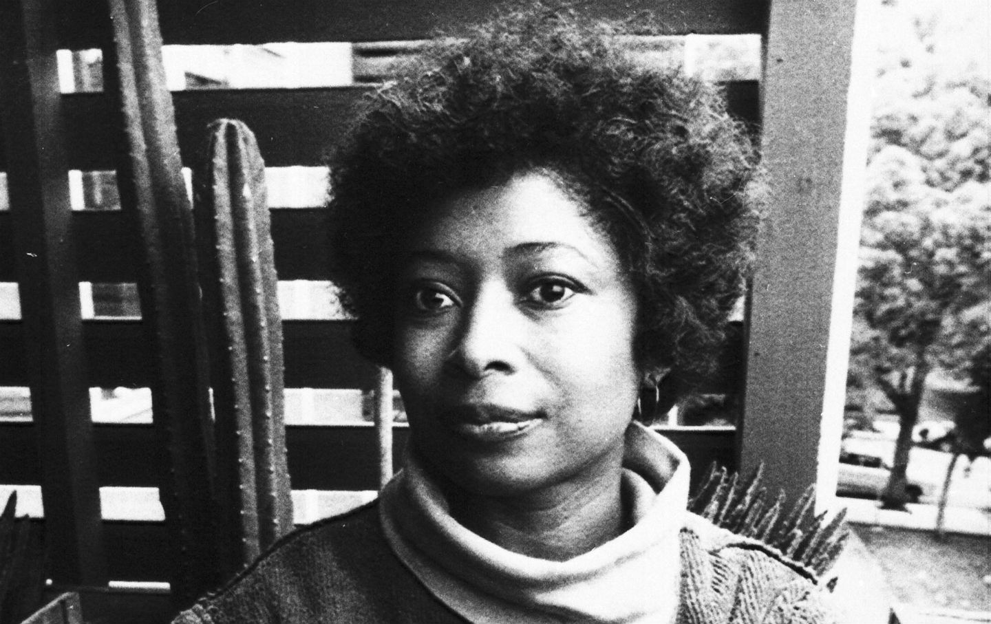 April 18, 1983: Alice Walker Becomes the First Woman of Color to Win the Pulitzer Prize for Fiction