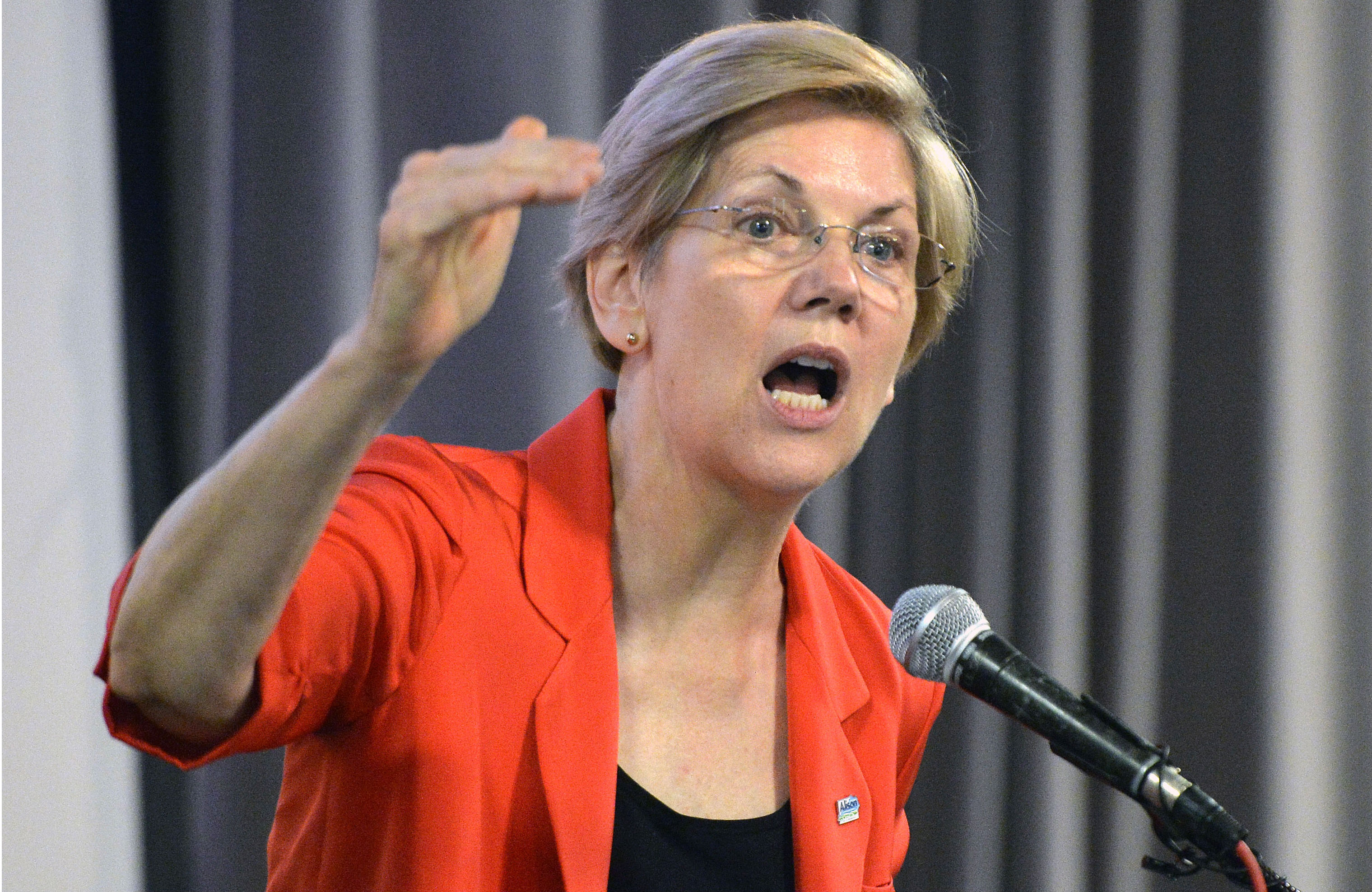 If Elizabeth Warren Were Running for President, This Would Be Her Agenda