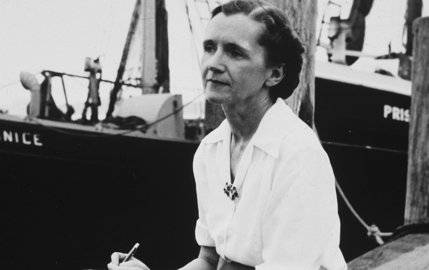 Rachel Carson, date unknown. (US Department of Agriculture) - via The Nation