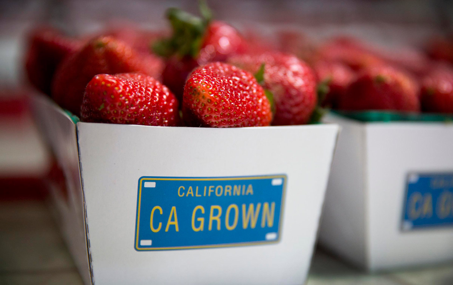 California Is Finally Getting Serious About Pesticides Near Schools
