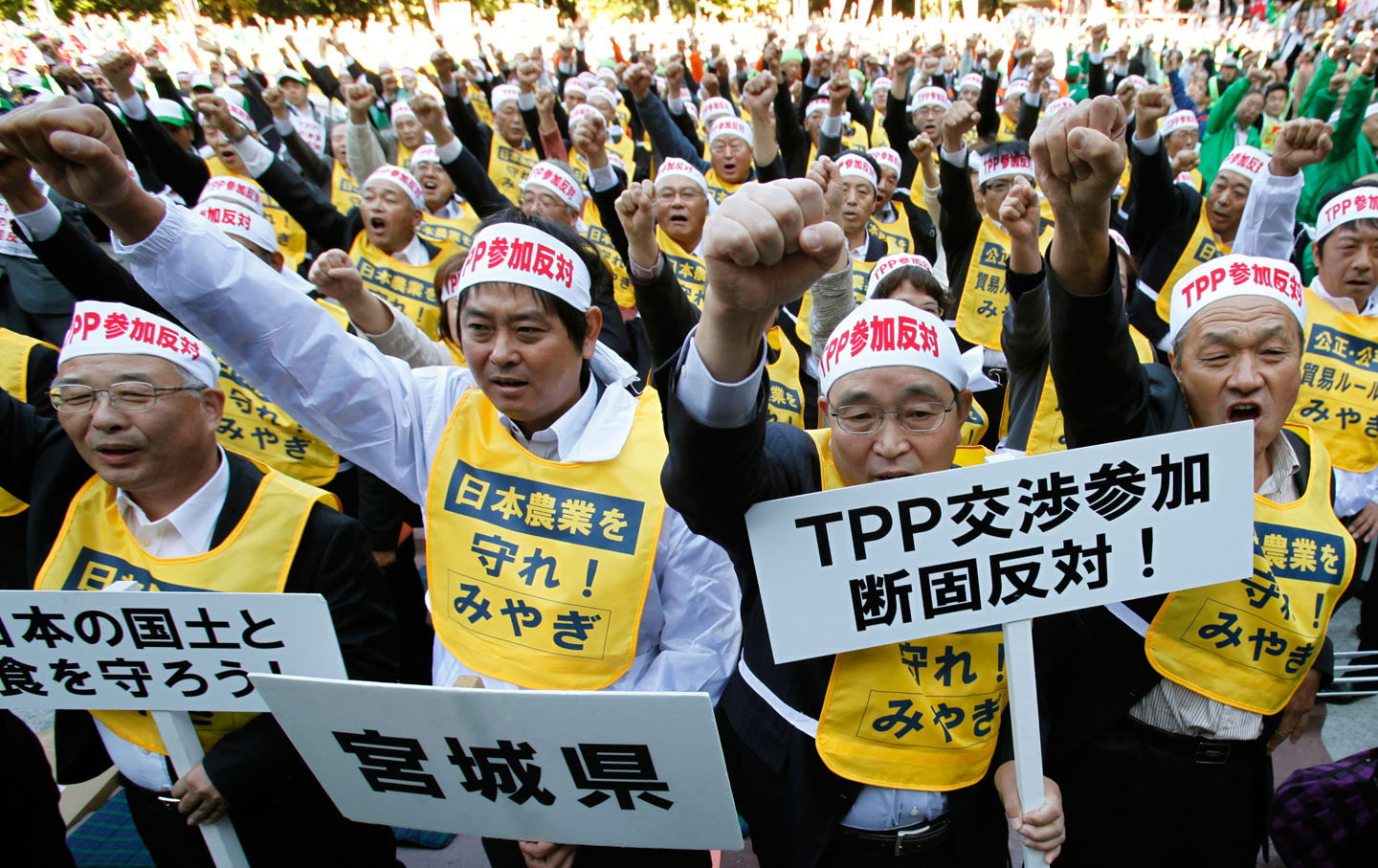 Farmers in Japan protest the Trans-Pacific Partnership