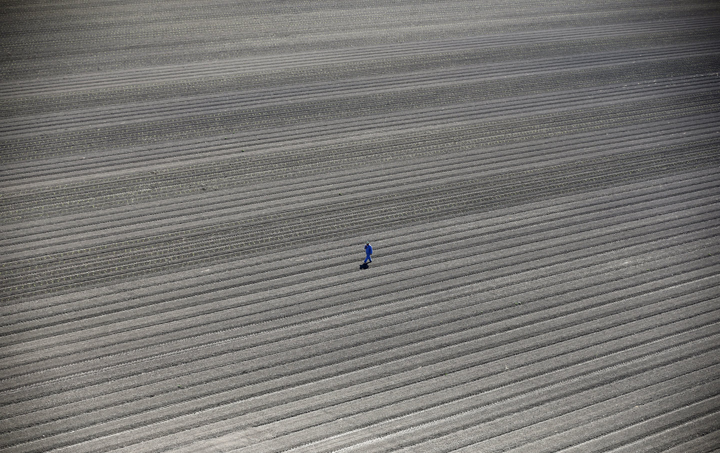 A field parched from California's drought